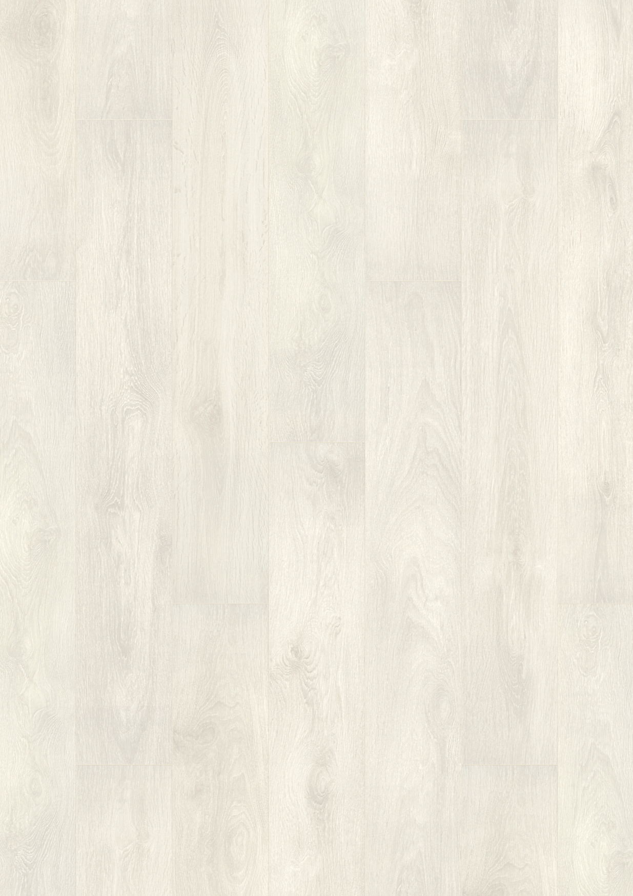 Svalbard Oak Svalbard Oak