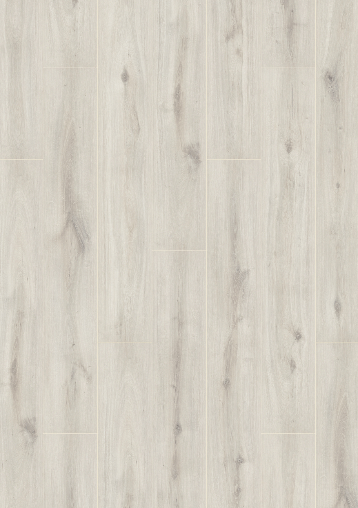 Bolero Oak Bolero Oak